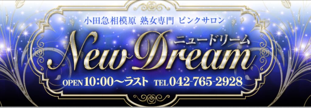 ニュードリームトップ画像