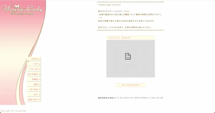 ヤングレディートップ画像