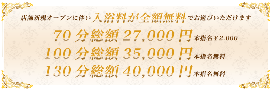 ニュースカイの総額料金